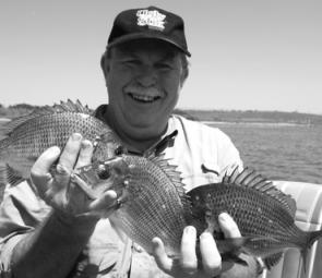 A trio of bream caught by the author in Lake Illawarra.